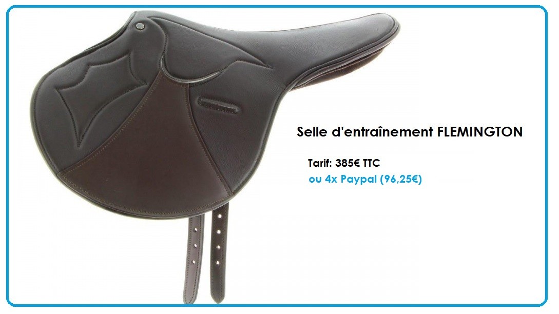 Selle Flemington